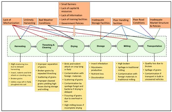 A. K. Grain Institute for study regarding Social Systems more and