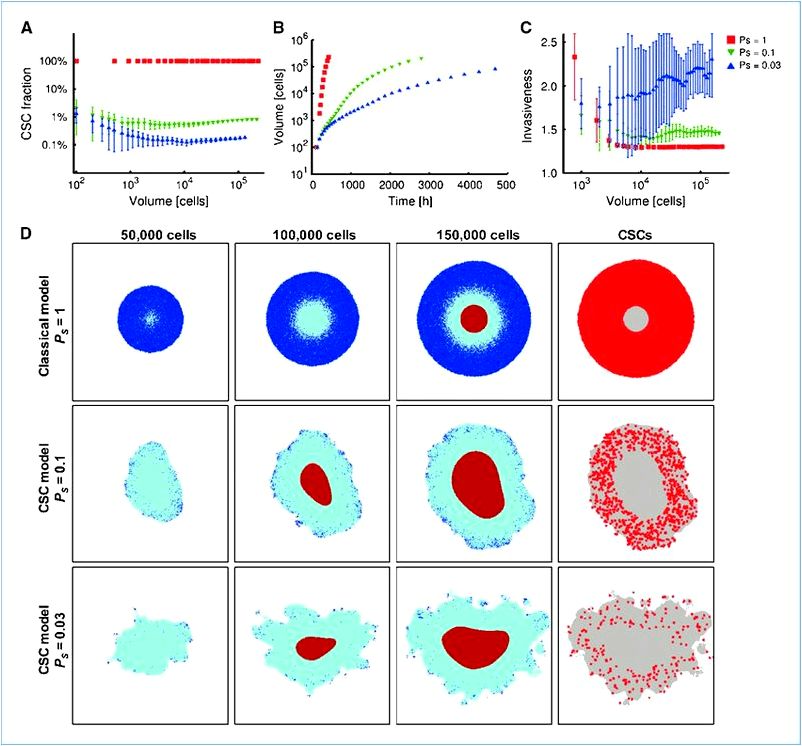 Emergent Behaviors from a Cellular Automaton Model for Invasive Tumor Growth in Heterogeneous Microenvironments Growing tumor with cell motility