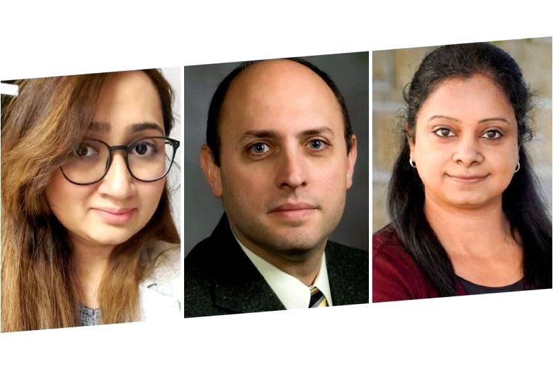 Join us at the SI and IE research meetings for talks with Neelma Bhatti, Alexander Leonessa and Divya Srinivasan