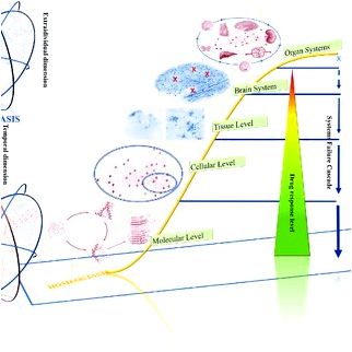 Multiple time-scales and the developmental dynamics of social systems of the