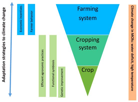 New methodology for adapting Mediterranean basins towards the demands of global warming introduction of