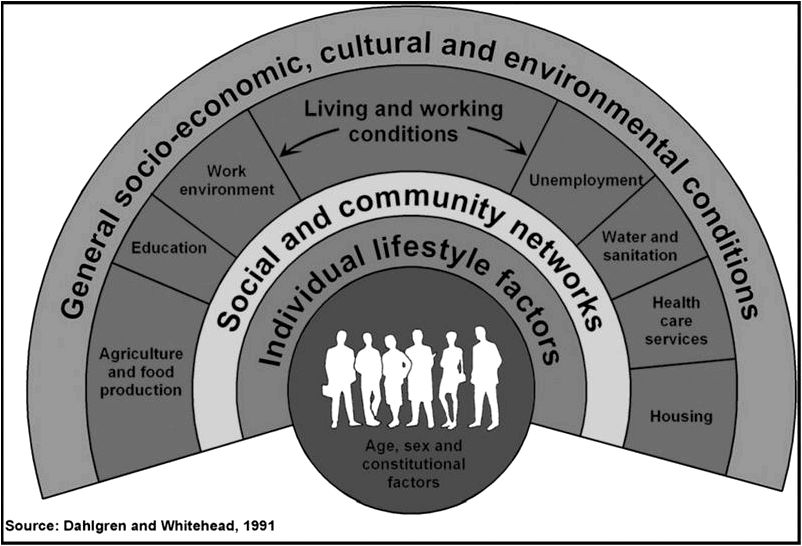 Systems change for that social determinants of health BMC Public Health Full Text