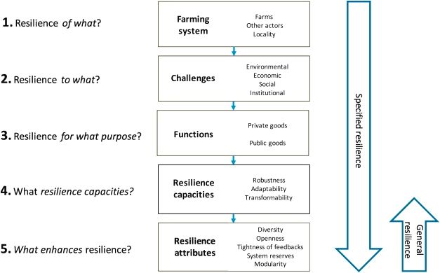 The Principles from the Resiliency Framework Resiliency for action