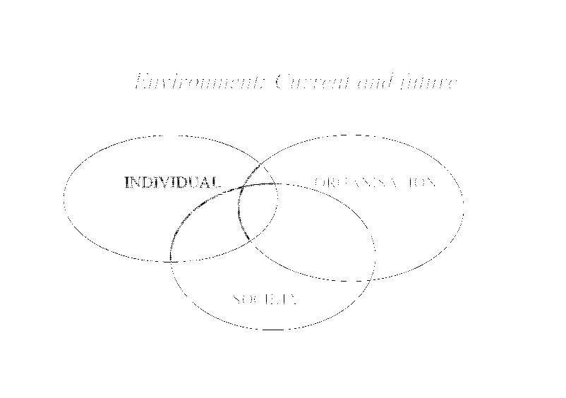 The System and also the Social System Irene Taviss