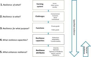 The Principles from the Resiliency Framework Resiliency for action - Tropos